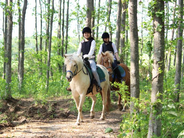 馬に乗って森林探索をしてみよう! 初心者OK♪