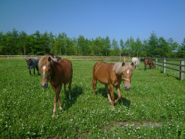 私たちがお待ちしておりまーす♪