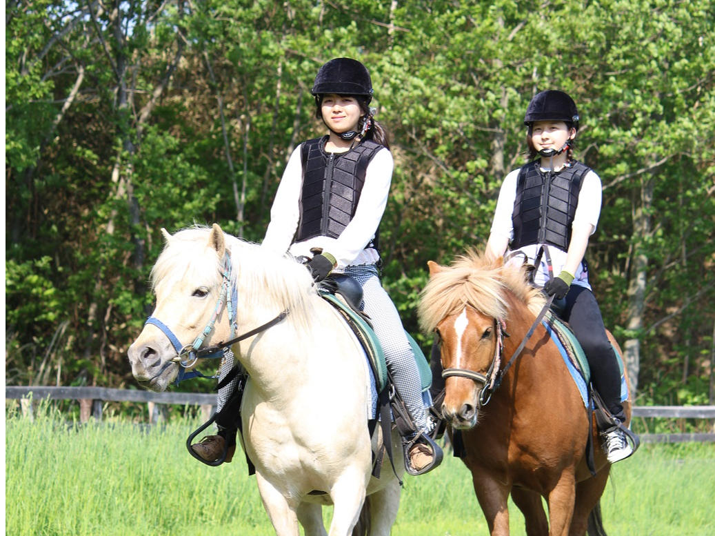 可愛いドサンコと特別な時間♪