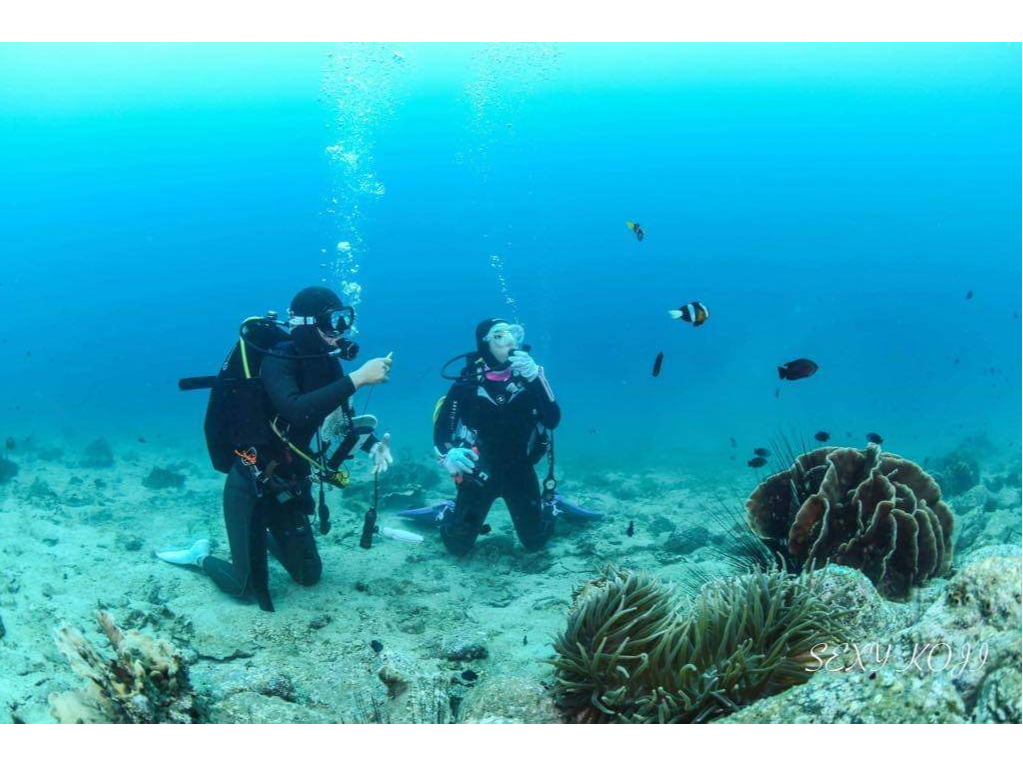 生物の観察の仕方、ダイバーとしてのマナー、中性浮力もお教えします!