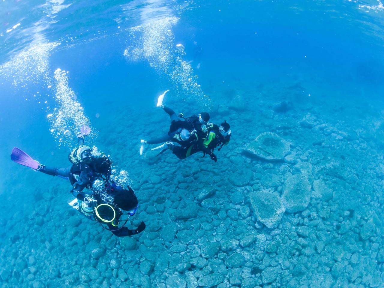 スタッフがサポート!