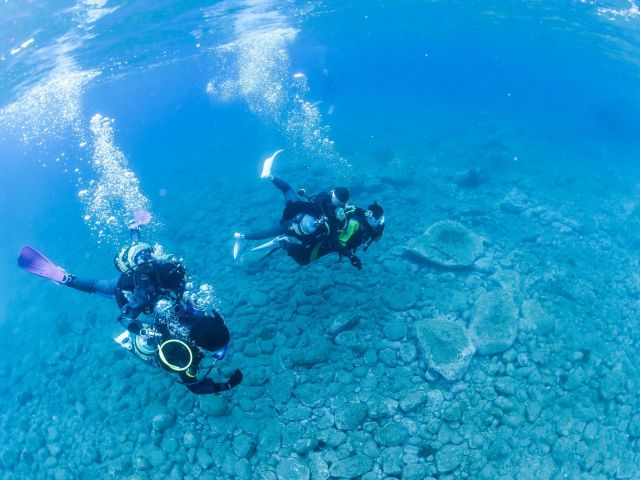 スタッフがサポート!