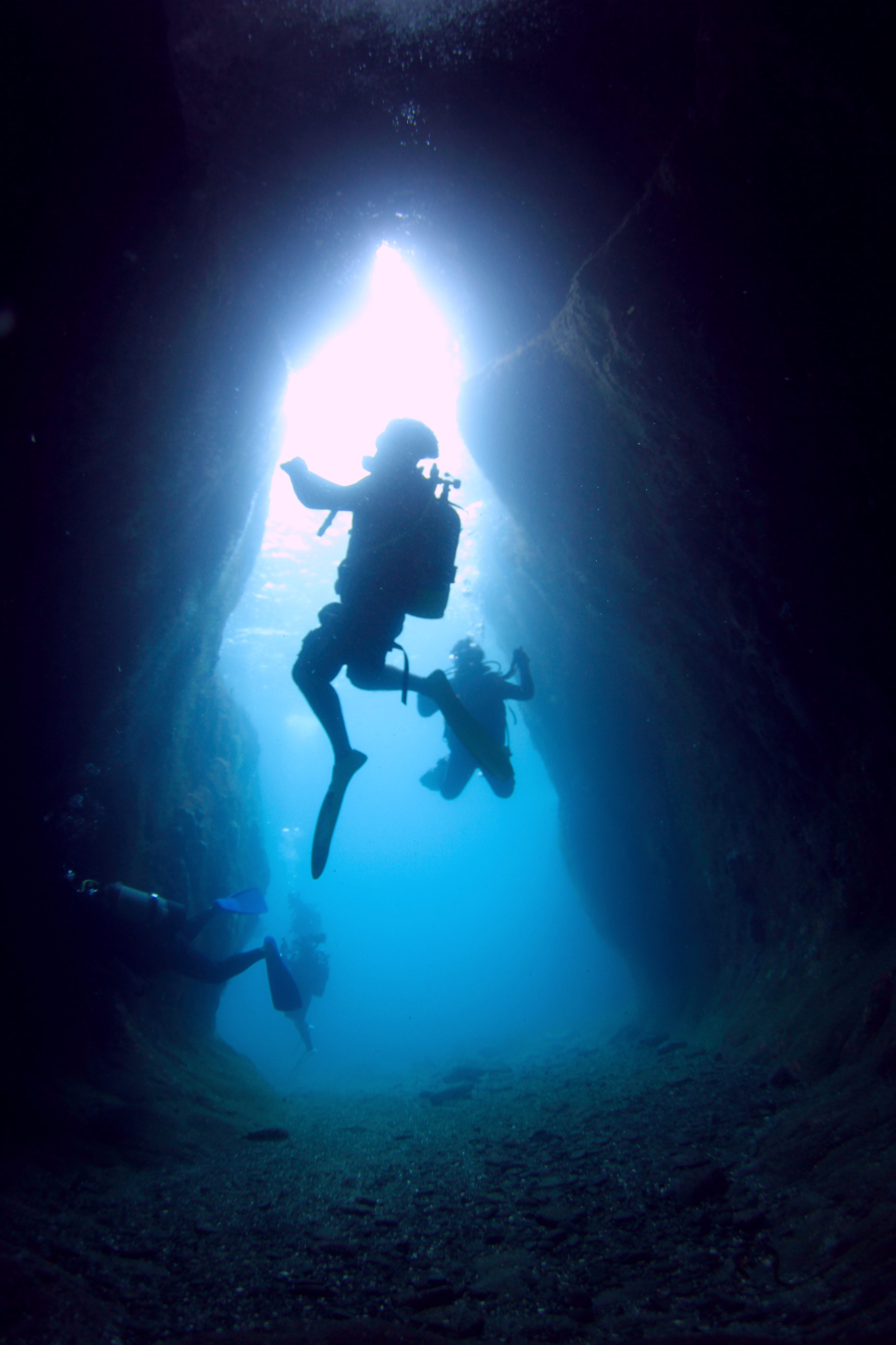 弊社限定ポイント!青いトンネル!