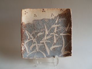 志野の板皿コース