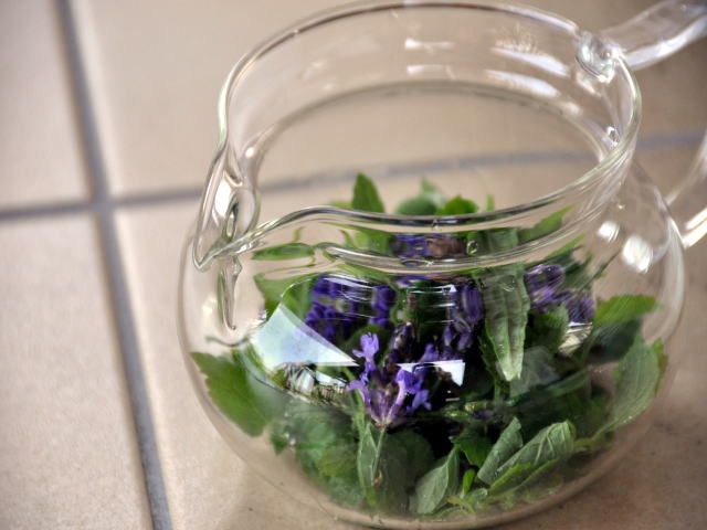 ���D�݃u�����h�n�[�u�𐅐􂢂��āA�|�b�g�ցI�I