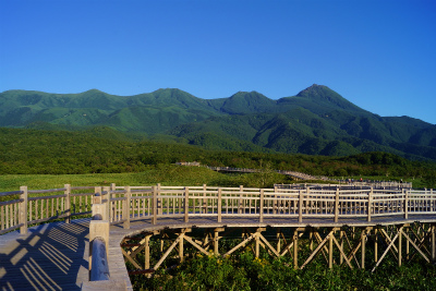 知床五湖 高架木道にて散策