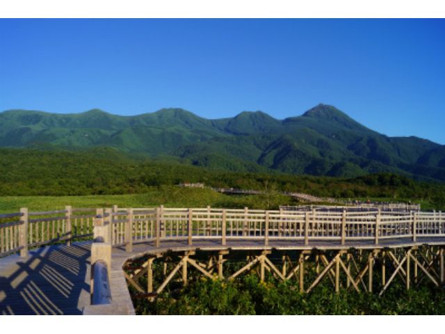 知床五湖 高架木道にて散策