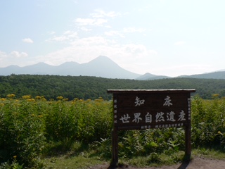 世界自然遺産の標識