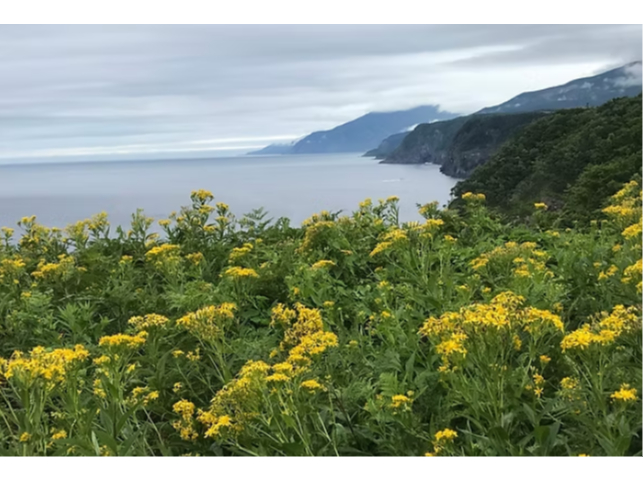 �m�������@����]��