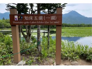 知床五湖 一湖