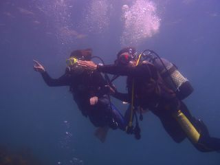 体験ダイビングイメージ