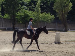 乗馬レッスン風景