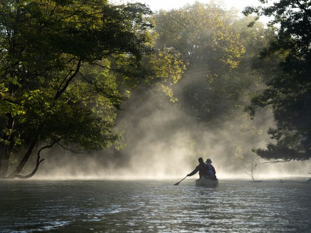 朝靄の釧路川源流部