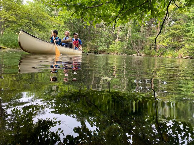 澄んだ水が流れる釧路川源流部