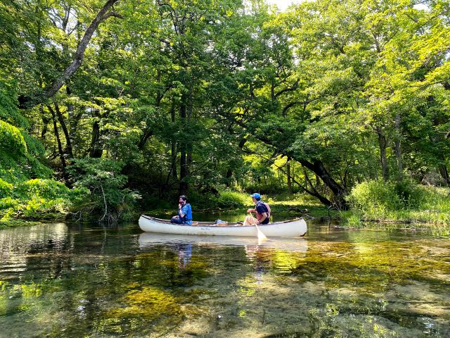 景勝地「鏡の間」 緑を映し出す鏡の様