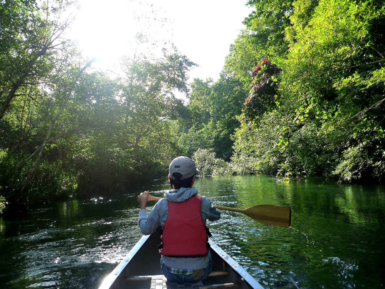 静かに森の中を漕ぎ進む