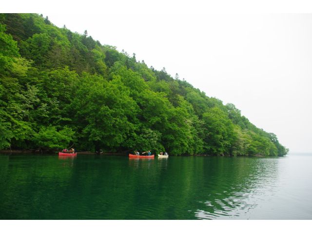 初夏 緑に覆われた和琴半島