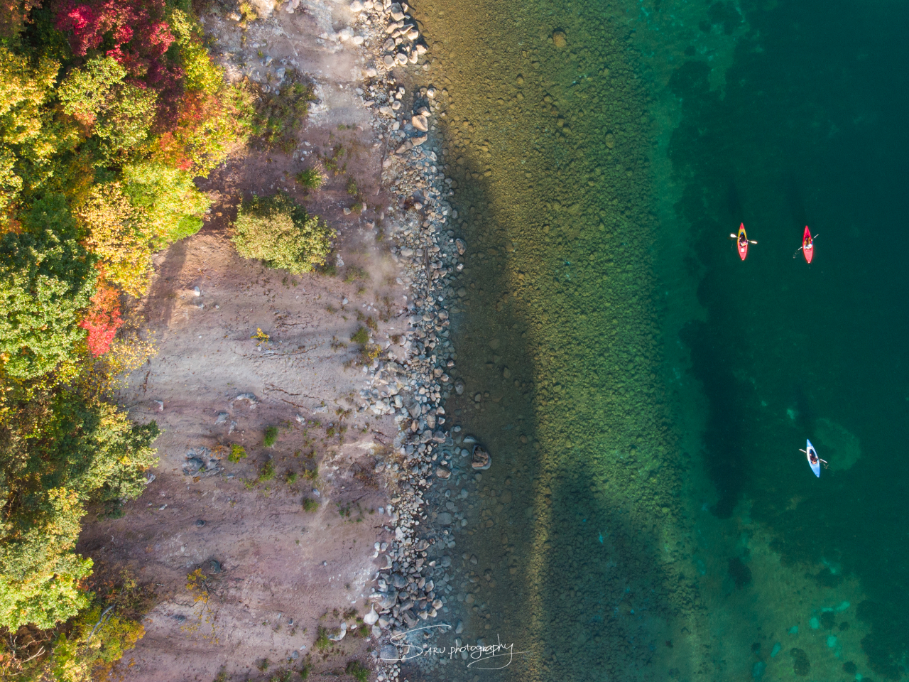 �ΔȂ��牷�򂪗N���o��e���ŁA�ΐ��̐F�͗l�X�ɕω����܂��B