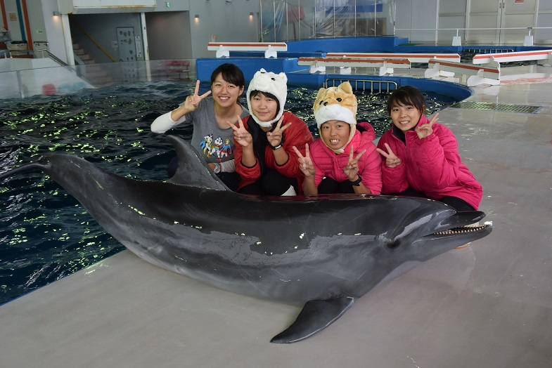 イルカと一緒にひな祭り 記念撮影 志布志湾海の駅イルカランド じゃらん遊び体験 イルカと一緒にひな祭り 記念撮影 志布志湾海の駅イルカランド じゃらん遊び体験