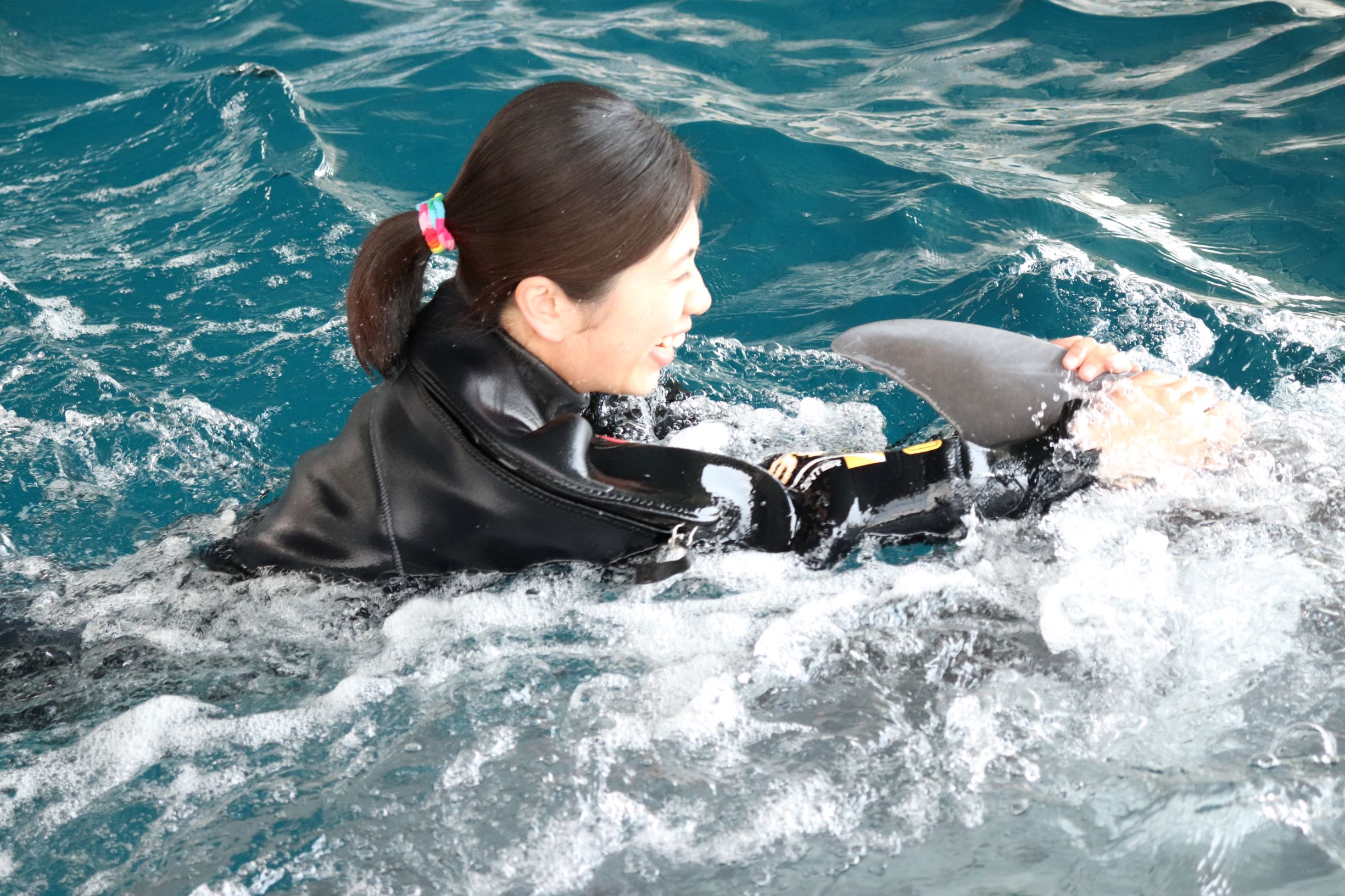 夏休みの思い出に！ イルカと一緒に泳ぐフレンドリースイム【8月