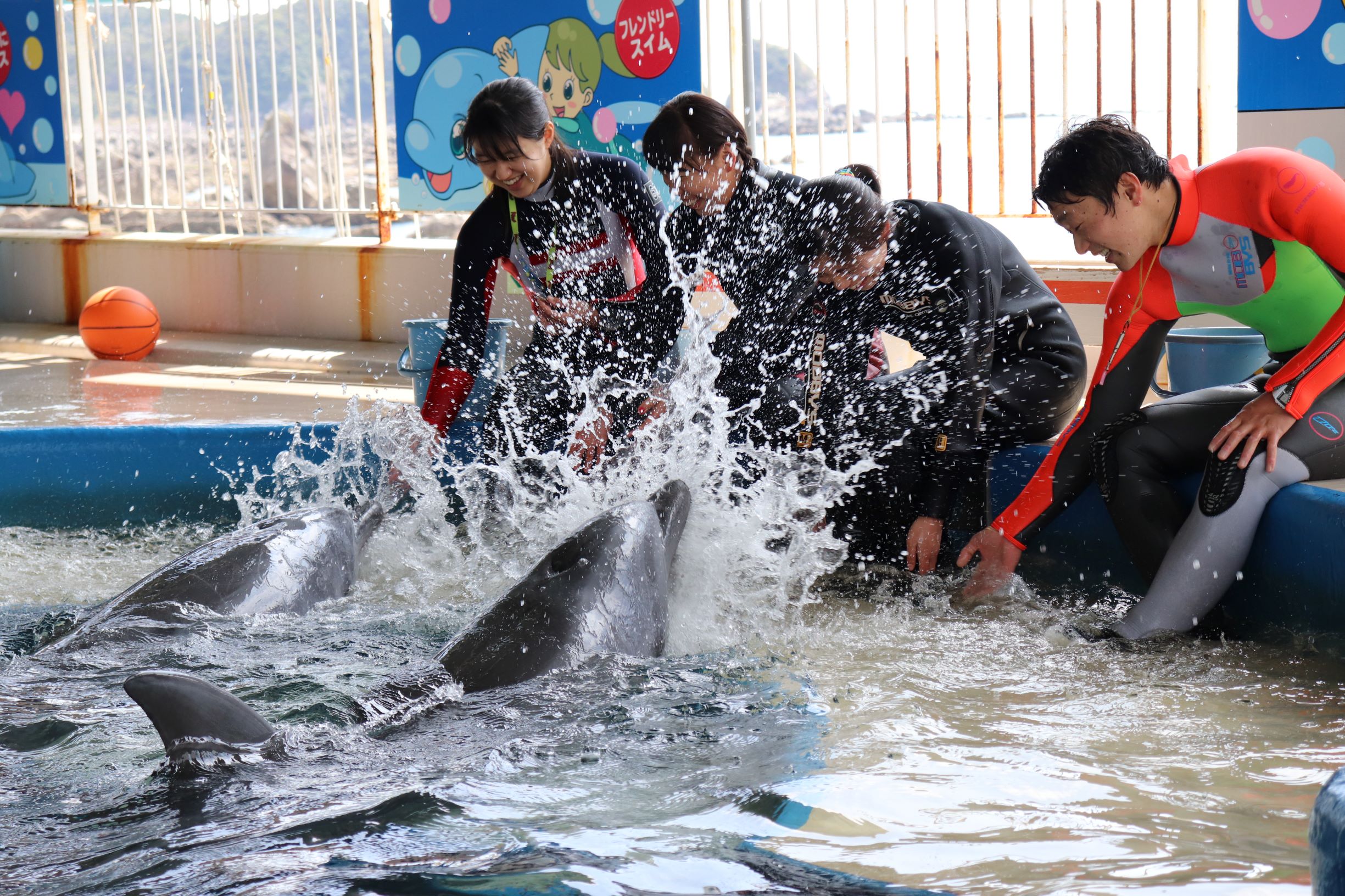 �C���J�Ƃ̐��V�сi���u���[�h���t�B���j���D�]�J�Ò��I�I