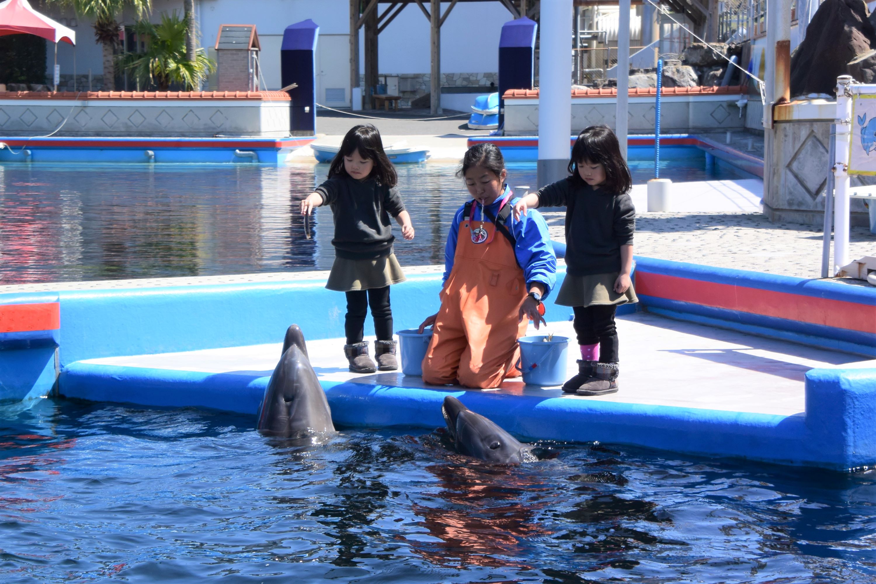 �C���J�̃G�T���̌��������J��