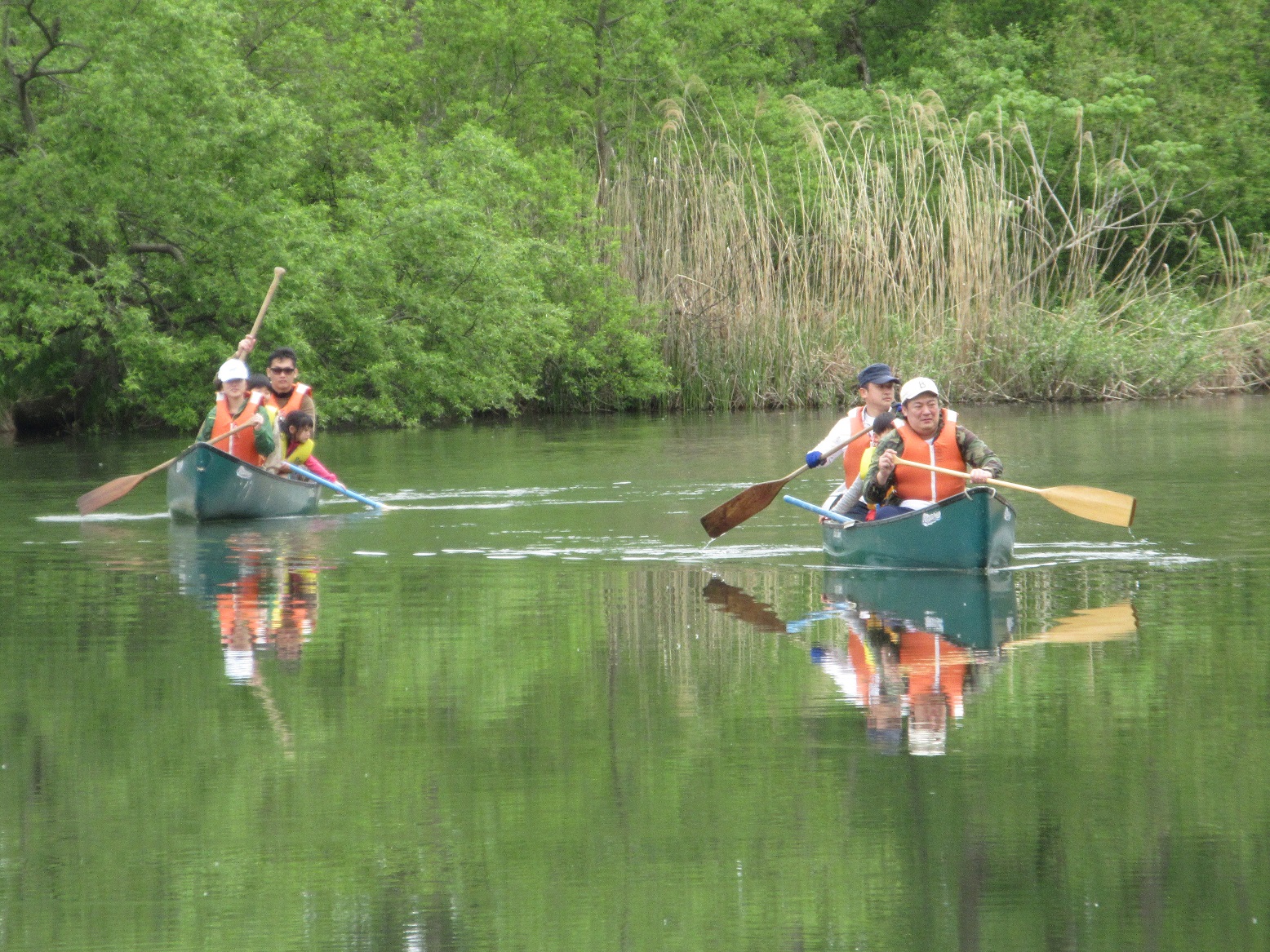 Cۏ낦΁A܂ŋ̏悤łB