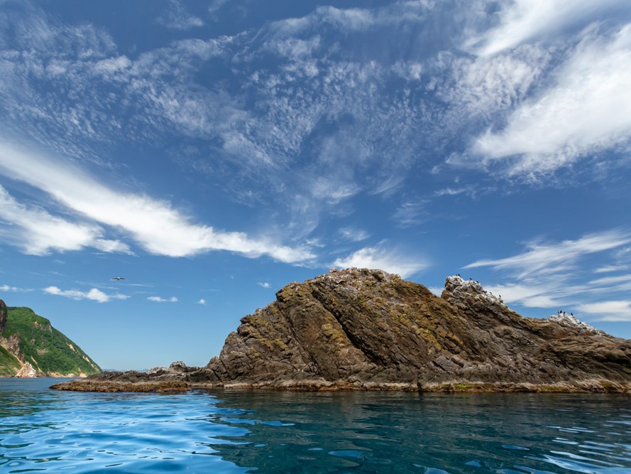 ���낢��ȃ|�C���g��D�������Љ�I���̊�͏t�̓g�h�����낮�u�g�h��v�A��������鋫���������ƃA�b�v��