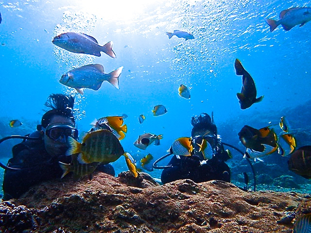 aťII̋Ɉ͂܂ĆA{II