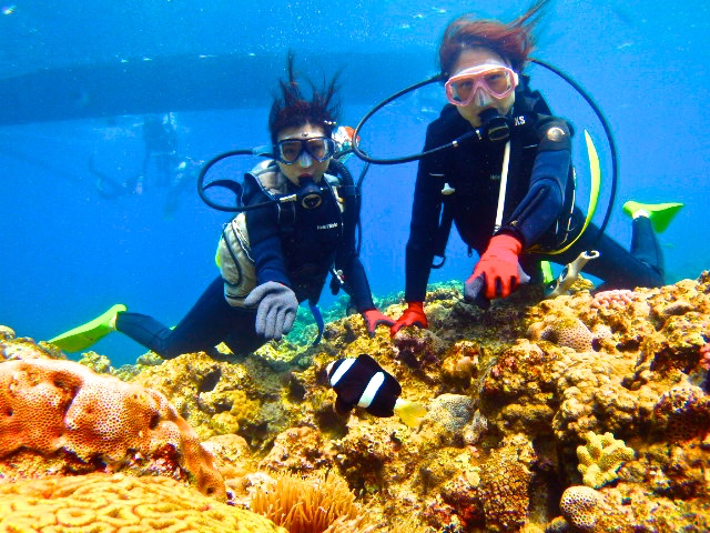 j(JNN}m~)ł͂ȂԂ̃N}m~ތ鎖o܂II