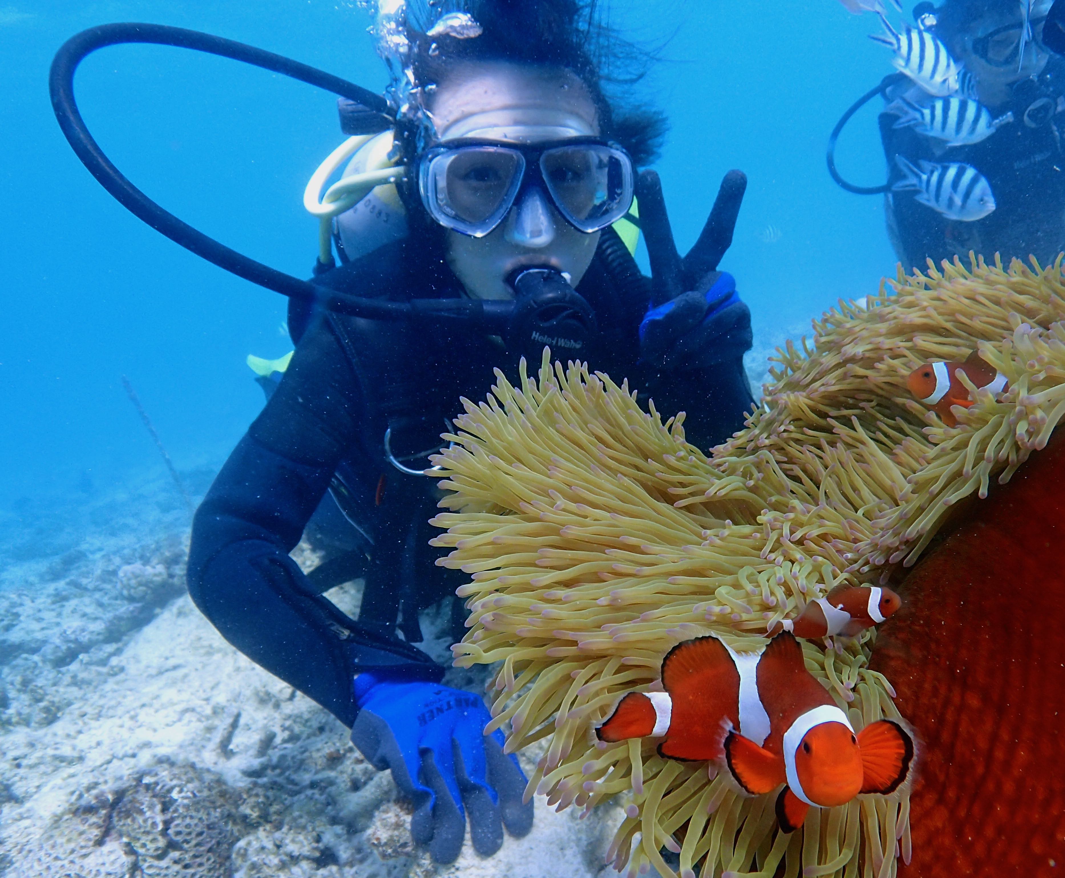 大人気のニモ(カクレクマノミ)と一緒に記念撮影!!