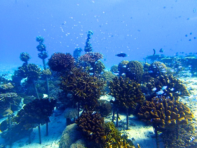 n̋tɂTS̗{BsĂ܂IITS̎ɂ̉Zł܂`