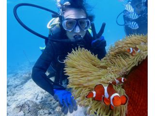 大人気のニモ(カクレクマノミ)と一緒に記念撮影!!