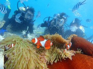 大人気のニモ(カクレクマノミ)と一緒に記念撮影!!