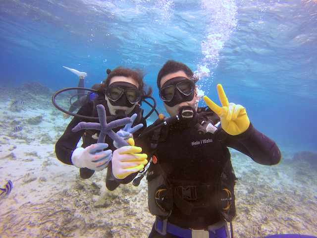 qgfi}RȂǂ̐ƋLOBe邱Ƃł܂