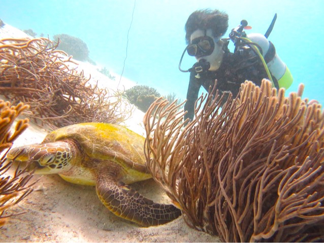 ^ǂΐŊ뜜̃AIE~KɉƂo܂`