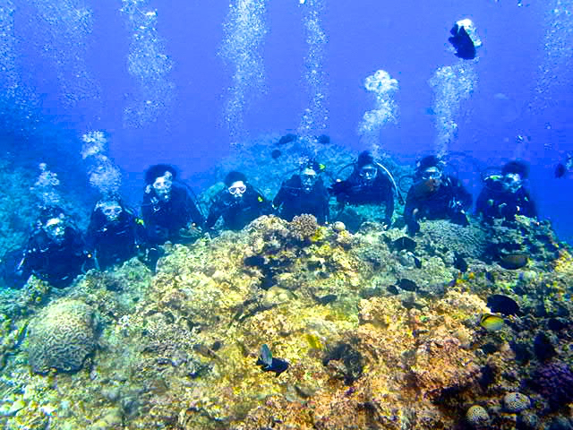 �c�̗l�劽�}�I�I�c�̗l�ł��Ή��\�ł��̂ł��₢���킹���������I�I