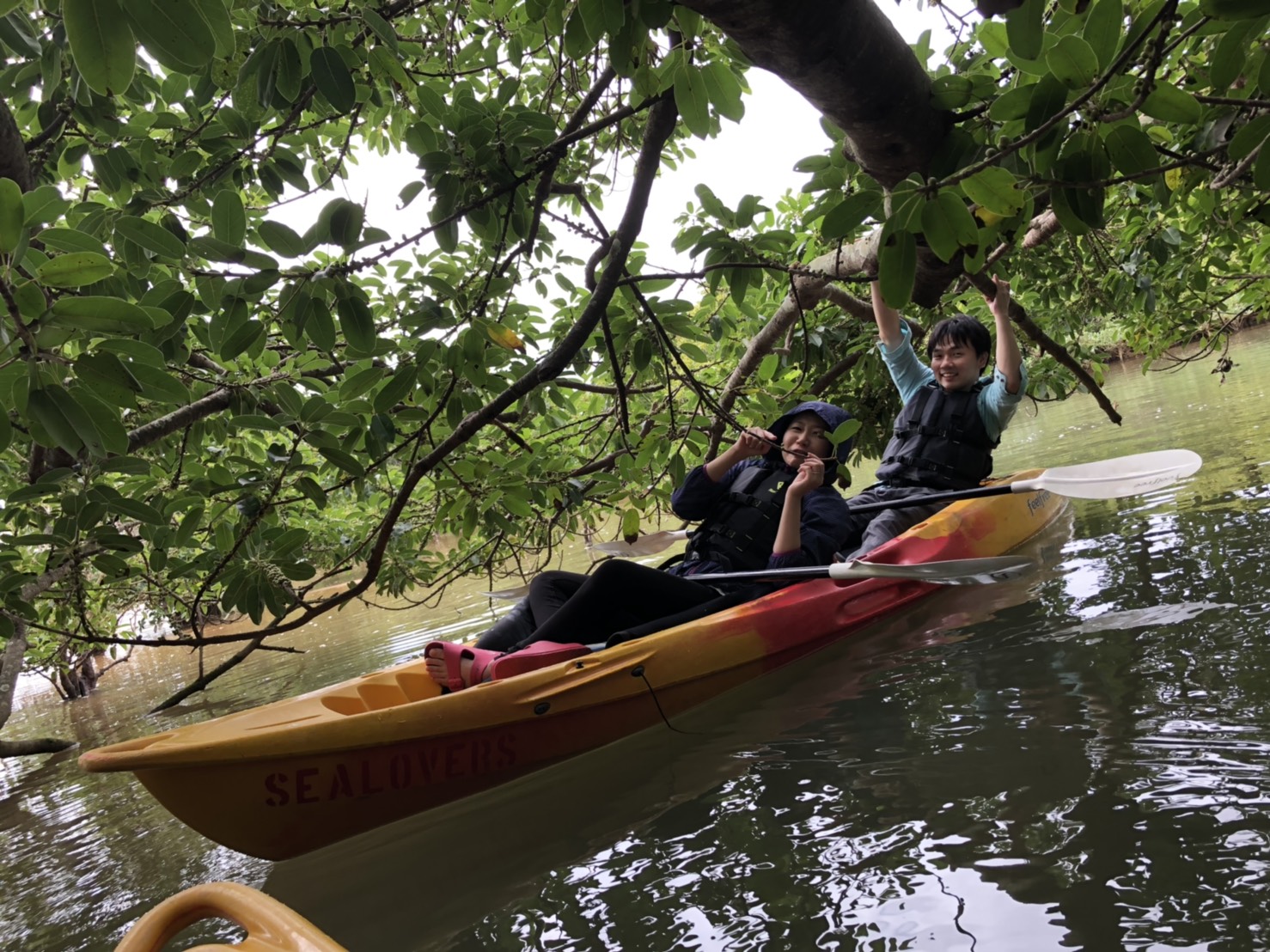 �}���O���[�u������������`���S����������R�[�X�ł��B