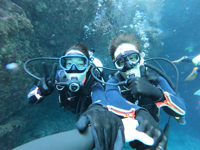 ̌_CrOł͉jȕłCXgN^[ĉĵňSĂQ邱Ƃo܂`