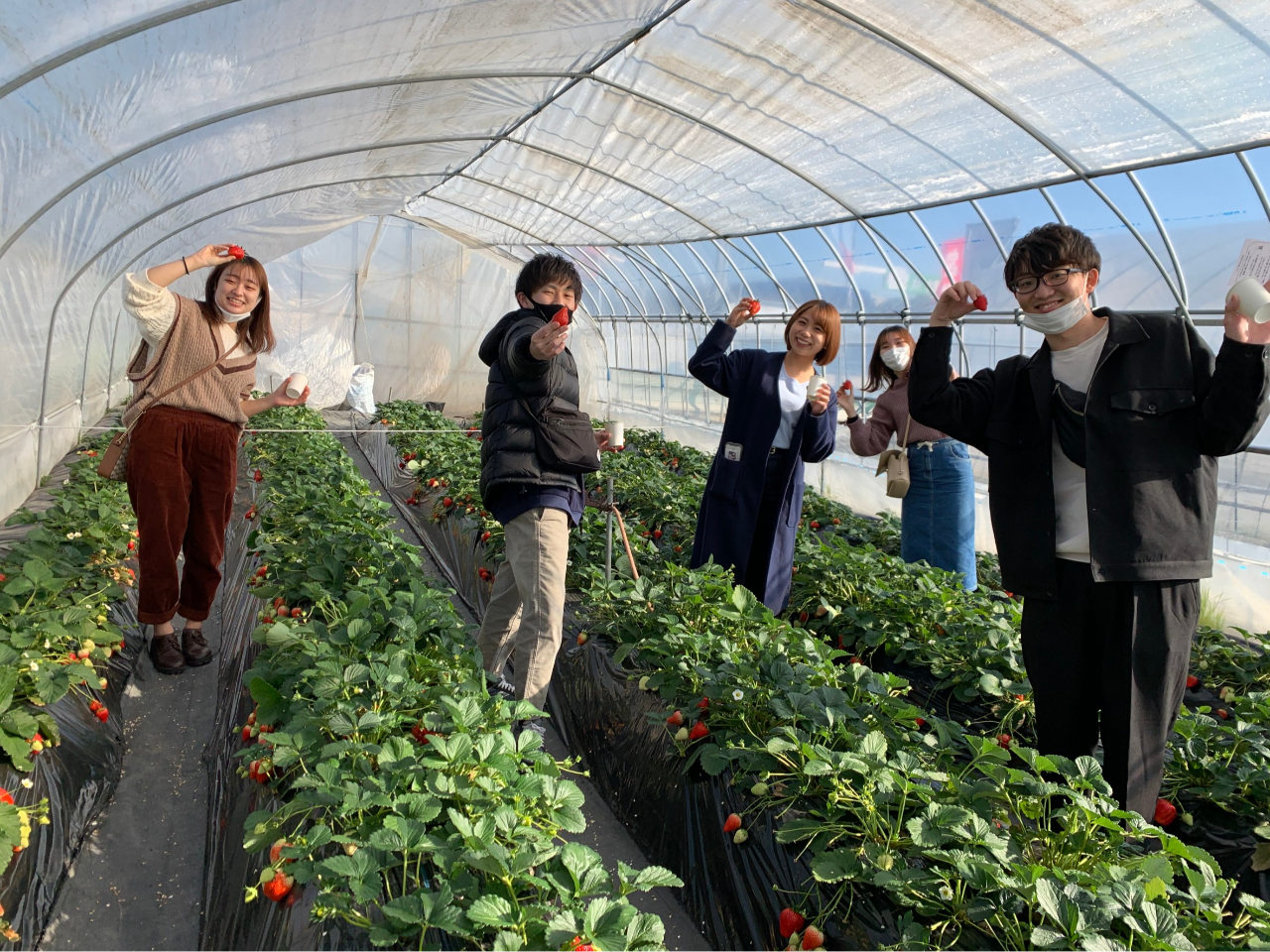 A܂IIIÂ|Cǵyǂ܂Ȃcό_z