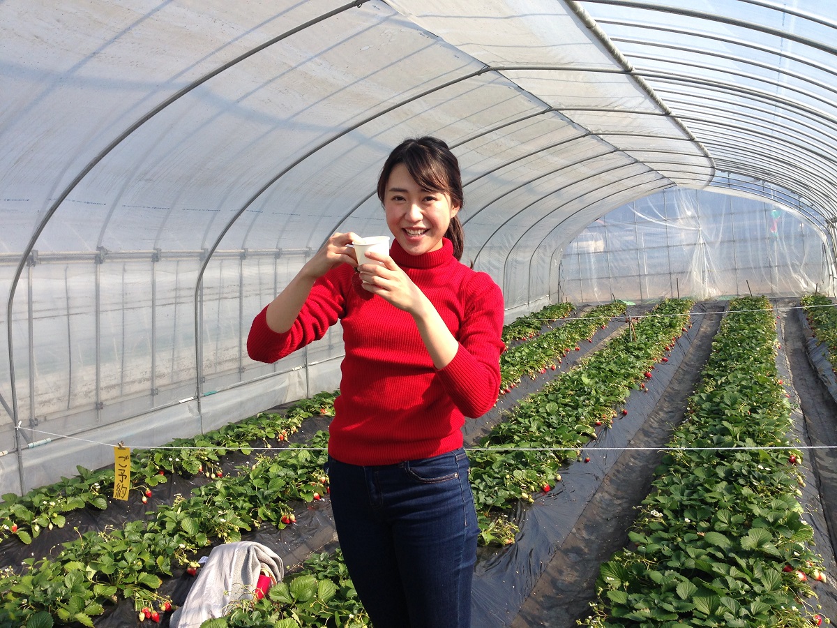 �����͂��x�݂��Ƃ��Ă��������ɂ���Ă��܂�����