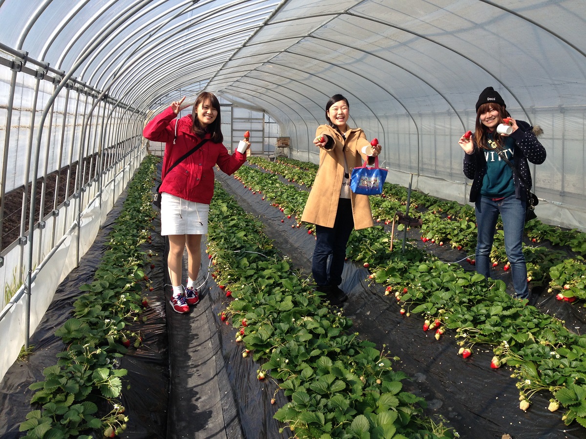 ������������̕��łɂ�����Ă��܂���