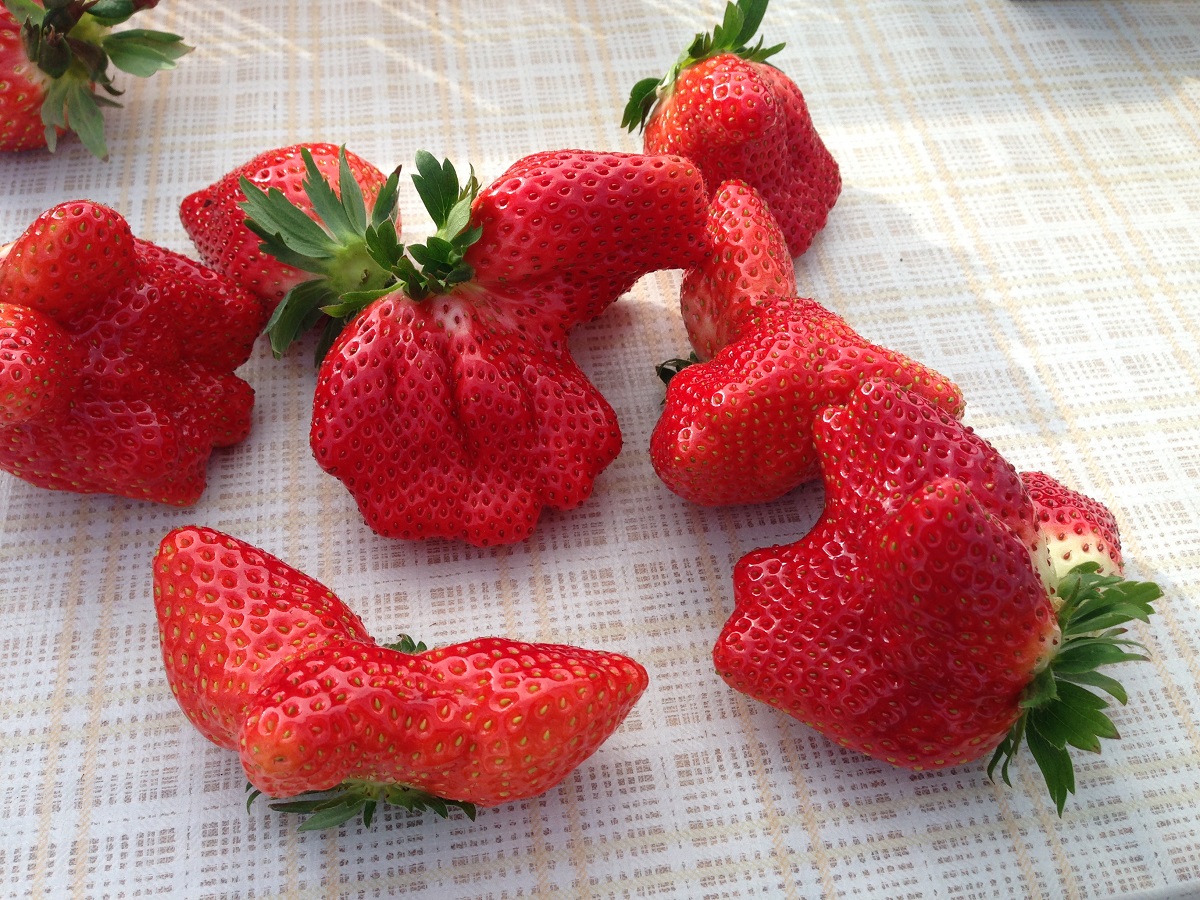 ����Ȃ��������ł��邱�Ƃ������͂Ƃ��Ă�����������I