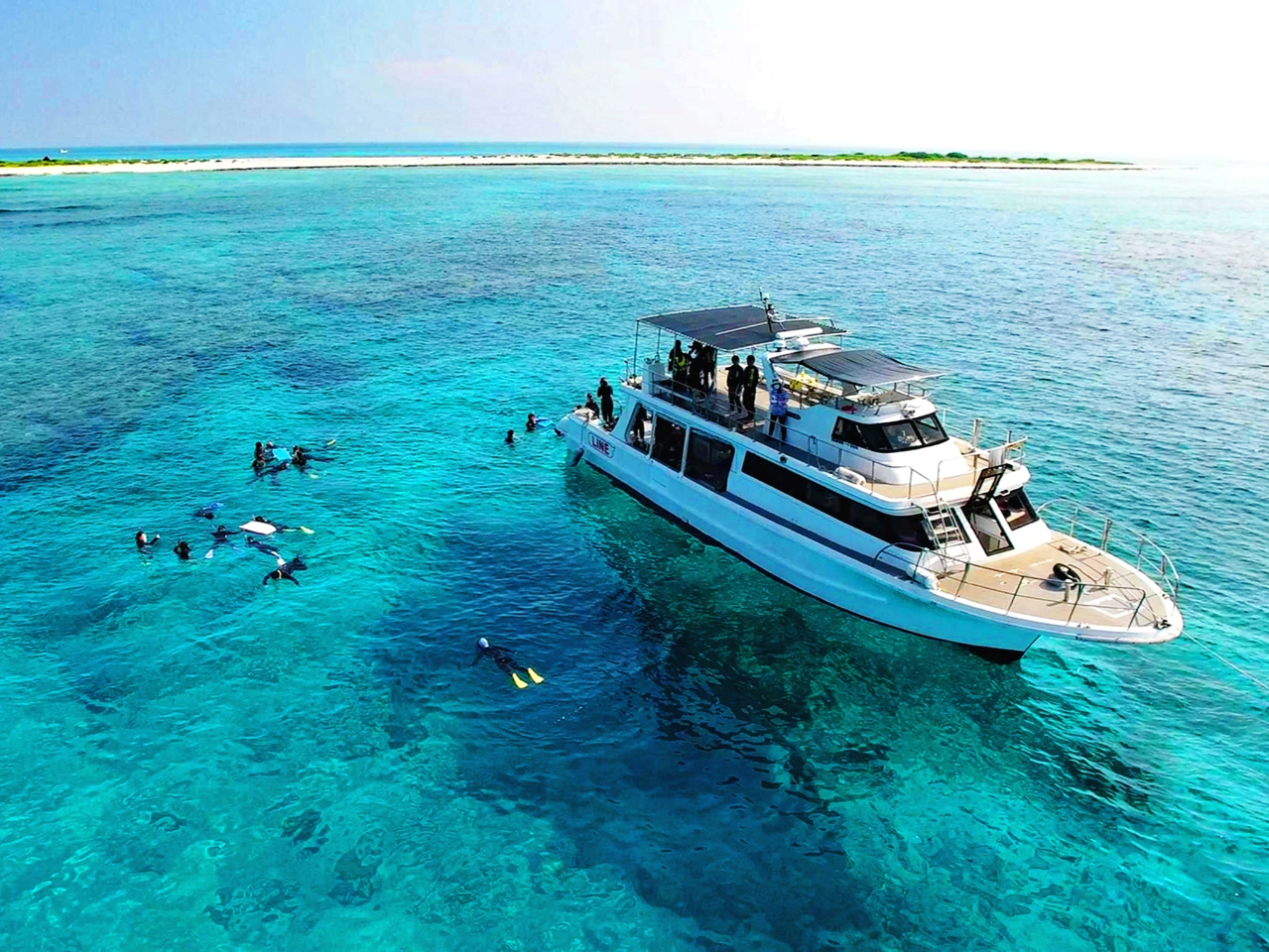 �������񉫓�E�c�Ǌԏ����G���A���R�~�N�ԃ����L���O7�N�A����P�ʁ��}������厏�Ń��[�U�[�]��11�N�A����P�ʁ�