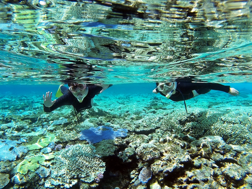 �������񉫓�E�c�Ǌԏ����G���A���R�~�N�ԃ����L���O7�N�A����P�ʁ��}������厏�Ń��[�U�[�]��11�N�A����P�ʁ�