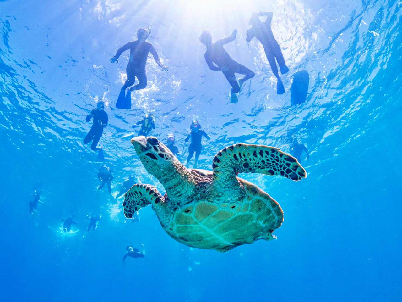 �������񉫓�E�c�Ǌԏ����G���A���R�~�N�ԃ����L���O7�N�A����P�ʁ��}������厏�Ń��[�U�[�]��11�N�A����P�ʁ�