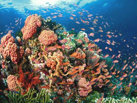 �������񉫓�E�c�Ǌԏ����G���A���R�~�N�ԃ����L���O7�N�A����P�ʁ��}������厏�Ń��[�U�[�]��11�N�A����P�ʁ�