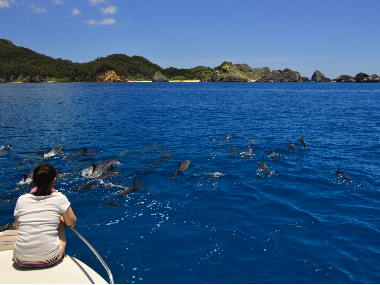 lnViKCJ͂܂ŗVтɗĂ܂B