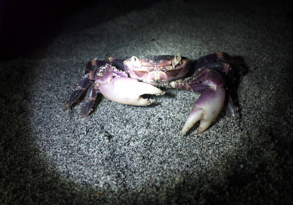 ̕lӂɂ͒Ԃ͉BĂs̐قɂI