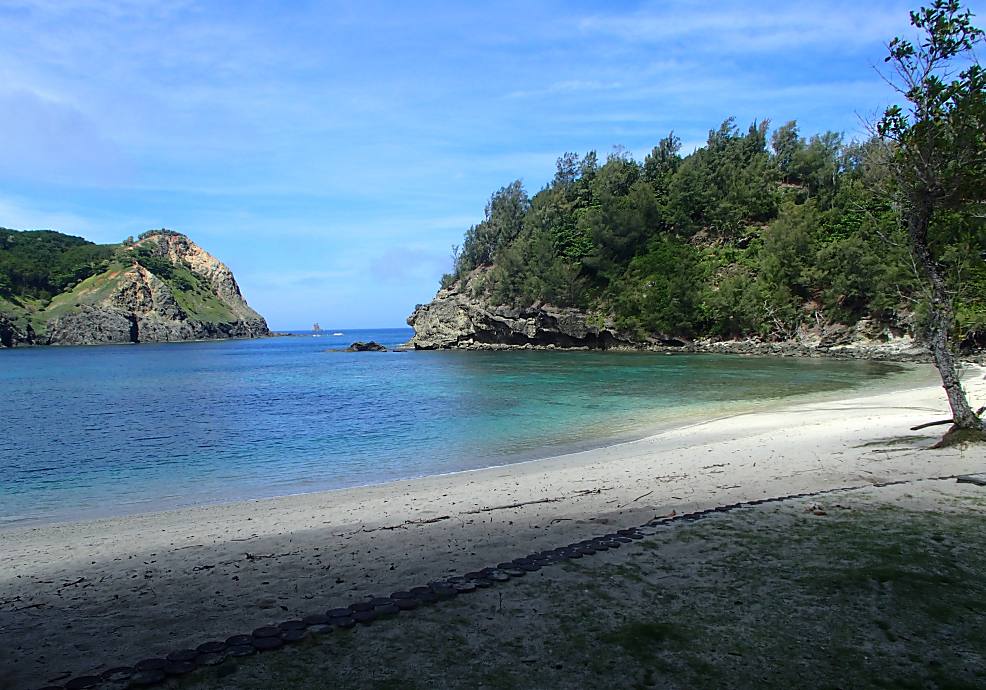 小笠原の植物の玄関口の一つ。海岸林